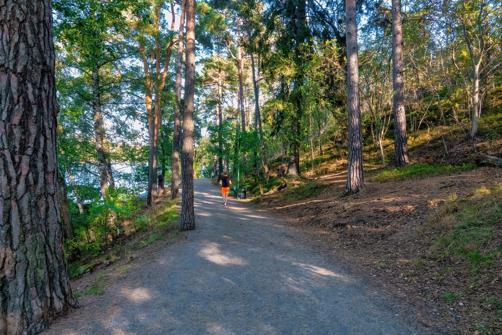 A jogger runs along a serene forest path in Stockholm, Sweden during summer.